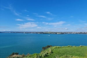 Auckland City Highlights Full Day Tour