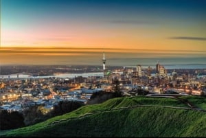 Auckland Stad Hoogtepunten Tour van een halve dag