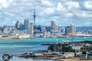 Visite d'une demi-journée à Auckland City Highlights