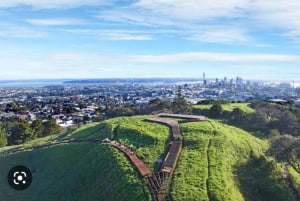 Tour di mezza giornata dei punti salienti della città di Auckland