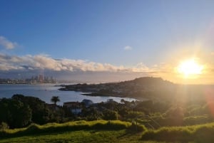 Auckland City Highlights Half Day Tour