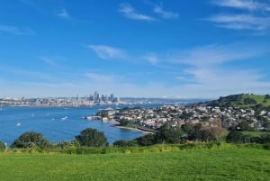 Excursão de meio dia pelos destaques da cidade de Auckland