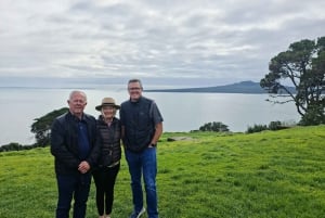 Tour di mezza giornata dei punti salienti della città di Auckland