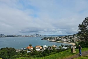 Auckland City Highlights Half Day Tour