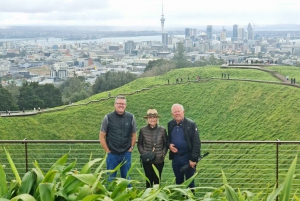 Auckland City Highlights Half Day Tour