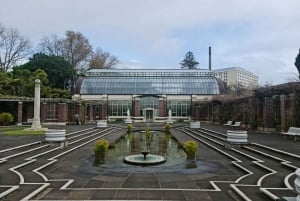 Excursão de meio dia pelos destaques da cidade de Auckland