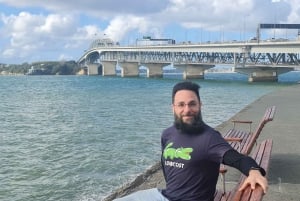 Tour di mezza giornata dei punti salienti della città di Auckland