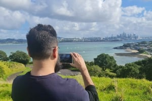 Auckland City Highlights Half Day Tour