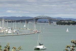 Tour di mezza giornata dei punti salienti della città di Auckland