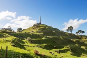 Auckland: Byens høydepunkter Privat omvisning