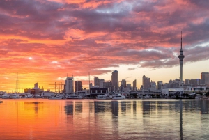 Auckland: Stadsrondleiding Hoogtepunten van de stad