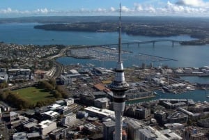 Auckland: Stadsrondleiding Hoogtepunten van de stad