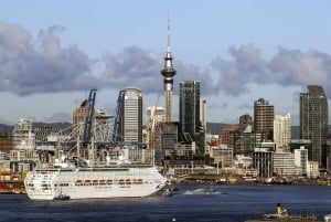 Auckland:Traslados del hotel de la ciudad a/desde el crucero en minivan