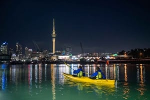 Auckland: City Lights Night Kayak Tour