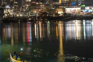 Auckland: Nocna wycieczka kajakiem City Lights