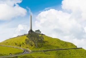 Visite d'une demi-journée à Auckland City Of Sails