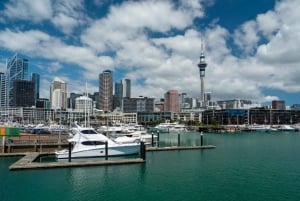 Tour de medio día por la ciudad de las velas de Auckland