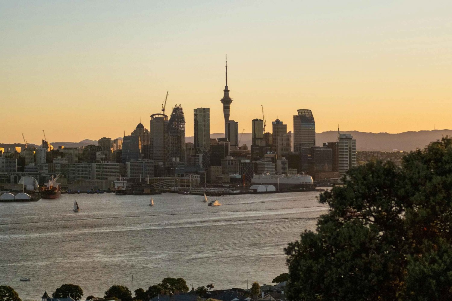 Visite privée de la ville d'Auckland