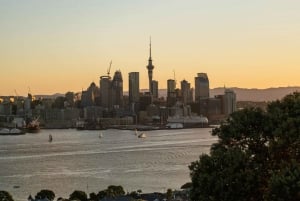 Auckland privat tur i staden