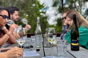 Auckland City: Naturskøn tur med vinsmagning og frokost