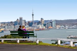 Auckland City Small Group Morning Discovery Tour