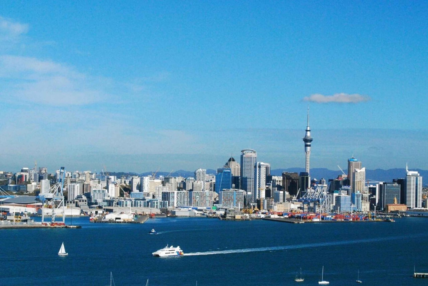 Visite d'une demi-journée à Auckland City Top Spots (visite en petit groupe)