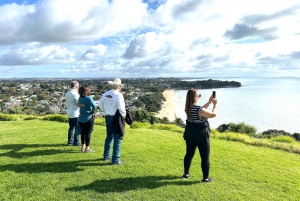 Auckland City Top Spots Half Day Tour(Small Group Tour)