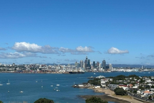 Auckland City Top Spots Half Day Tour(Small Group Tour)