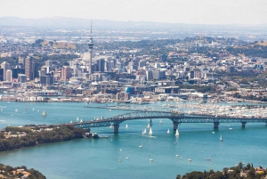 Auckland City Top Spots Half Day Tour(Small Group Tour)