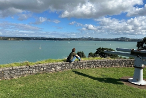 Auckland City Top Spots Half Day Tour(Small Group Tour)