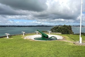 Auckland City Top Spots Half Day Tour(Small Group Tour)