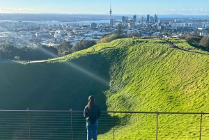 Auckland City Top Spots Half Day Tour(Small Group Tour)