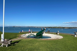 Auckland City Top Spots Half Day Tour(Small Group Tour)