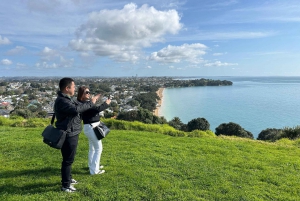 Auckland City Top Spots Half Day Tour(Small Group Tour)