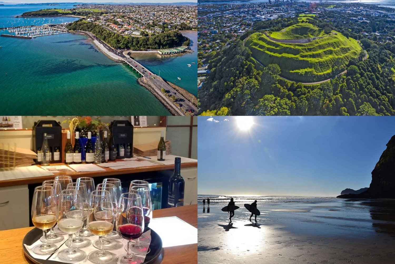 Auckland: City tour com prova de vinhos e praia de areia preta