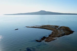 Auckland: Tour della città con degustazione di vini e spiaggia di sabbia nera