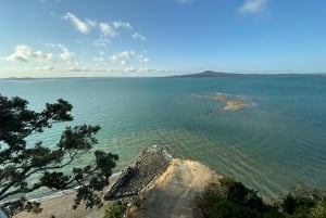 Auckland: Byrundvisning med vinsmagning og Black Sand Beach