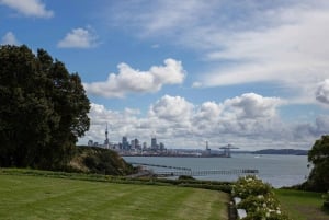 Auckland: Stadsrondleiding met wijnproeverij en Black Sand Beach