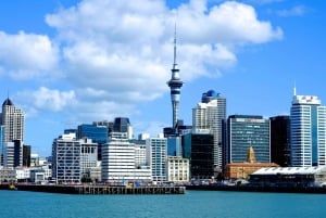 Auckland: Stadsrondleiding met wijnproeverij en Black Sand Beach