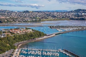 Auckland: Stadsrondleiding met wijnproeverij en Black Sand Beach