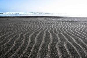 Auckland: Tour della città con degustazione di vini e spiaggia di sabbia nera