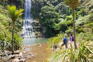 Tour della città e della costa occidentale di Auckland