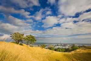 Auckland City & 西海岸豪华游
