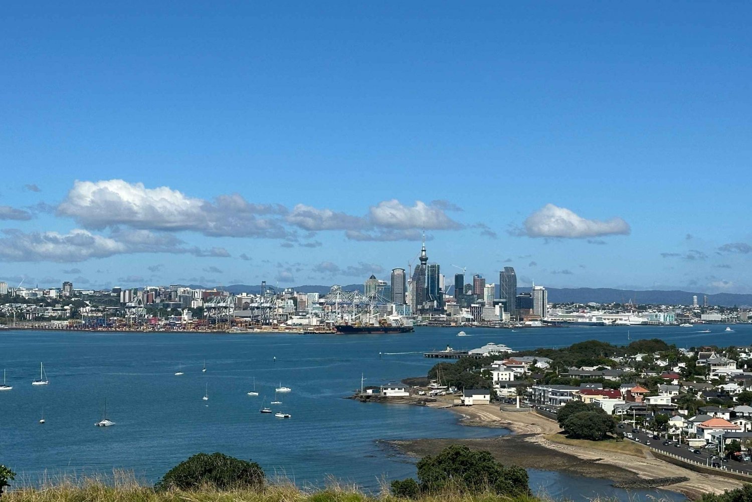 Excursão particular de meio dia pelos principais pontos da cidade de Auckland