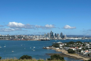 Auckland City Top Spots Half Day Private Tour