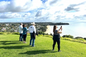 Auckland City Top Spots Half Day Private Tour