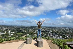 Visite d'Auckland City Top Spots demi-journée privée