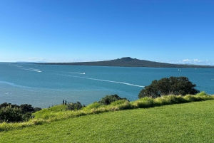 Auckland City Top Spots Halbtagestour Private Tour