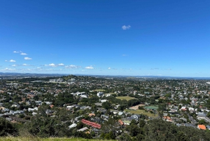 Auckland City Top Spots Halbtagestour Private Tour