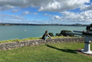 Auckland City Top Spots Half Day Private Tour